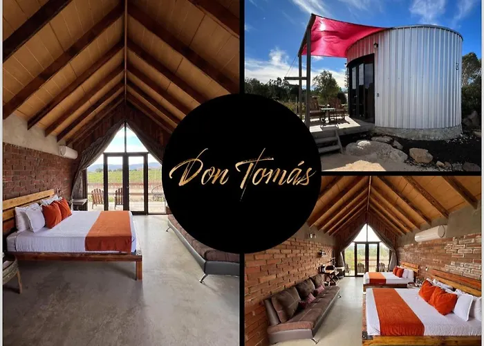 Don Tomas Vinedo Cabanas